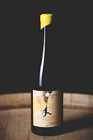 Photo Domaines-Viticoles Domaine Chollet  - n°19841