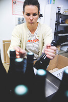 Photo Domaines-Viticoles Domaine Chollet  - n°19848