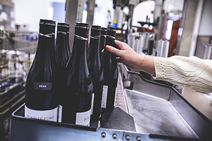 Photo Domaines-Viticoles Domaine Chollet  - n°19850