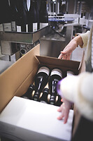 Photo Domaines-Viticoles Domaine Chollet  - n°19853