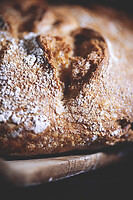 Photo Studio Pain et Fromage  - n°20214