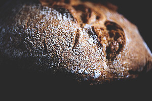 Photo Studio Pain et Fromage  - n°20224