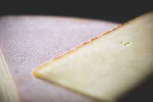 Photo Studio Pain et Fromage  - n°20237