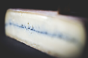 Photo Studio Pain et Fromage  - n°20243