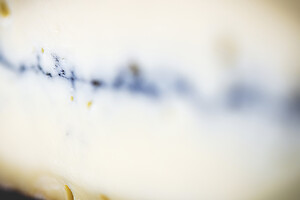 Photo Studio Pain et Fromage  - n°20244