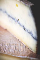 Photo Studio Pain et Fromage  - n°20245