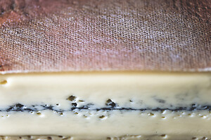 Photo Studio Pain et Fromage  - n°20249