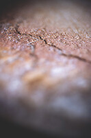 Photo Studio Pain et Fromage  - n°20255