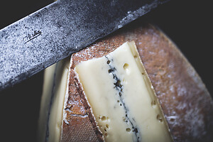 Photo Studio Pain et Fromage  - n°20257