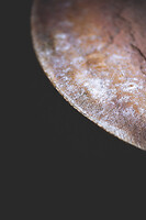 Photo Studio Pain et Fromage  - n°20269