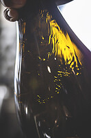 Photo Domaines-Viticoles Domaine Guy Bocard  - n°20288