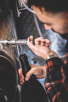 Photo Domaines-Viticoles Domaine Guy Bocard  - n°20289