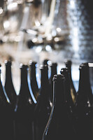 Photo Domaines-Viticoles Domaine Guy Bocard  - n°20290