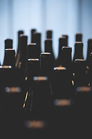 Photo Domaines-Viticoles Domaine Guy Bocard  - n°20291