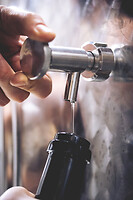 Photo Domaines-Viticoles Domaine Guy Bocard  - n°20294