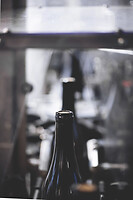 Photo Domaines-Viticoles Domaine Guy Bocard  - n°20295