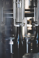 Photo Domaines-Viticoles Domaine Guy Bocard  - n°20297