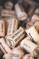 Photo Domaines-Viticoles Domaine Guy Bocard  - n°20301