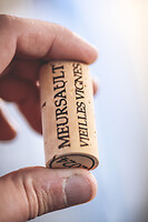 Photo Domaines-Viticoles Domaine Guy Bocard  - n°20302