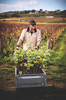 Photo Domaines-Viticoles Domaine Guy Bocard  - n°20315