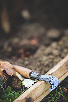 Photo Domaines-Viticoles Domaine Guy Bocard  - n°20316