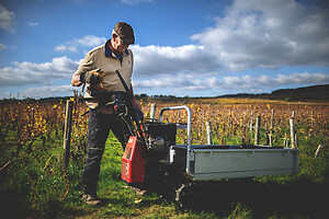 Photo Domaines-Viticoles Domaine Guy Bocard  - n°20327