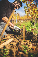 Photo Domaines-Viticoles Domaine Guy Bocard  - n°20332