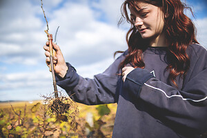 Photo Domaines-Viticoles Domaine Guy Bocard  - n°20336