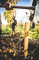 Photo Domaines-Viticoles Domaine Guy Bocard  - n°20337