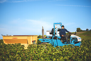 Photo Domaines-Viticoles Domaine Cirotte  - n°21619