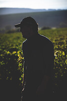 Photo Domaines-Viticoles Domaine Cirotte  - n°21621