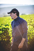 Photo Domaines-Viticoles Domaine Cirotte  - n°21623