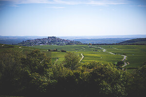 Photo Domaines-Viticoles Domaine Cirotte  - n°21654
