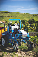 Photo Domaines-Viticoles Domaine Cirotte  - n°21662