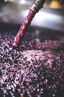 Photo Domaines-Viticoles Domaine Cirotte  - n°21673