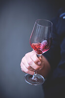 Photo Domaines-Viticoles Domaine Cirotte  - n°21695