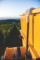 Photo Domaines-Viticoles Domaine Cirotte  - n°21702