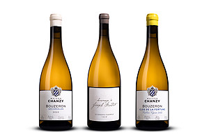 Photo Studio Packshots Bouteilles Vin  - n°23726