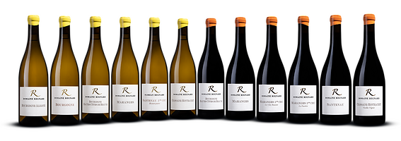 Photo Studio Packshots Bouteilles Vin  - n°23839