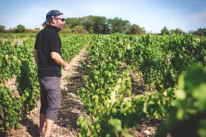 Photo Domaines-Viticoles Domaine de la Grange Petiot  - n°4741