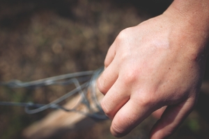 Photo Domaines-Viticoles Domaine de la Grange Petiot  - n°4749