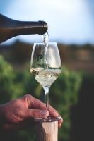 Photo Domaines-Viticoles Domaine de la Grange Petiot  - n°4779