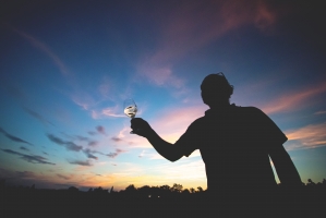 Photo Domaines-Viticoles Domaine de la Grange Petiot  - n°4785