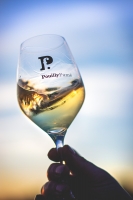 Photo Domaines-Viticoles Domaine de la Grange Petiot  - n°4791