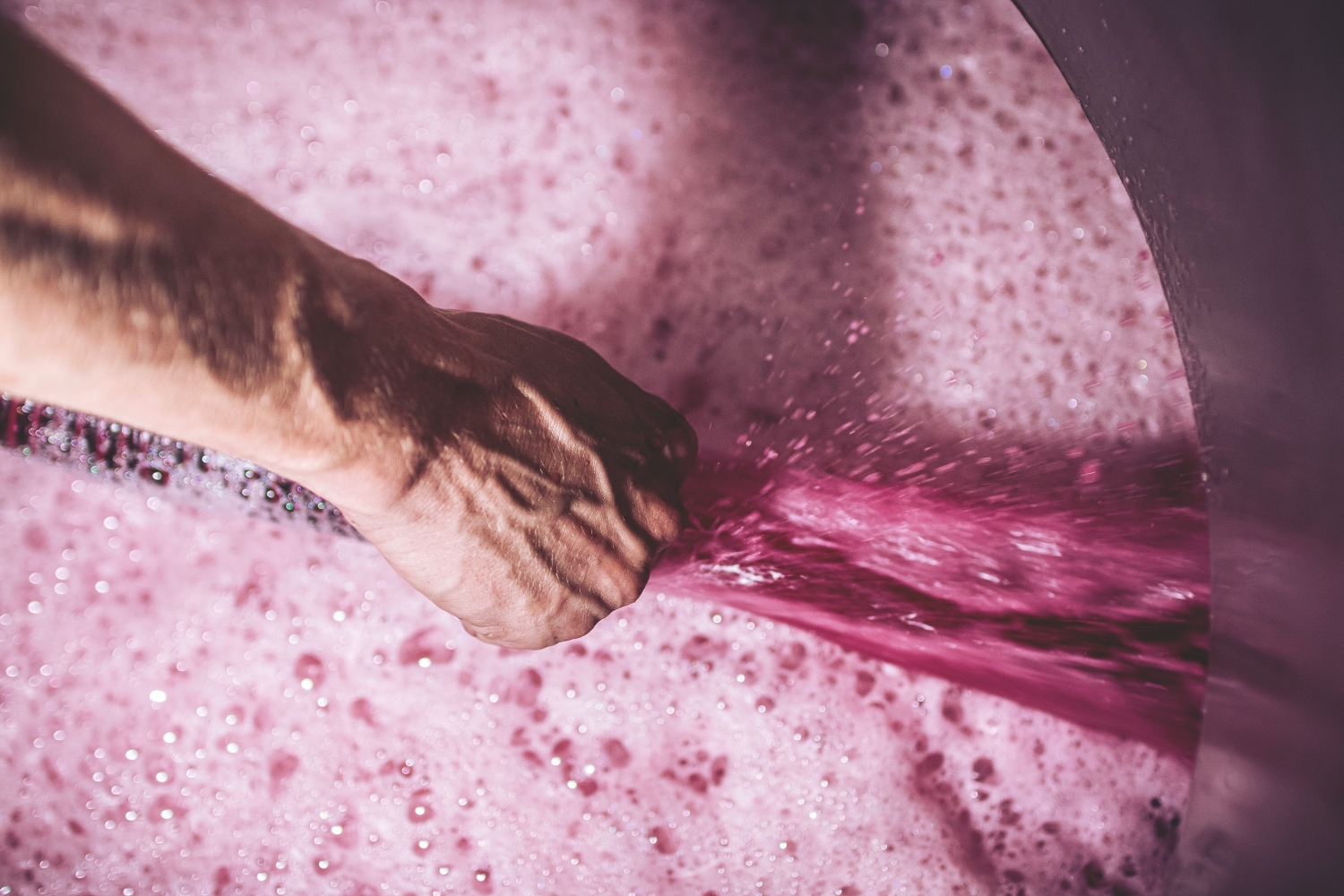 Photographie Client Domaine-de-Marcoux  - Beaune, Bourgogne