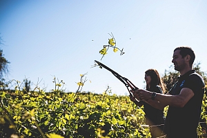 Photo Domaines-Viticoles Domaine Michel Arcelain