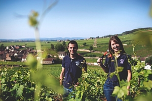 Photo Domaines-Viticoles Domaine Michel Arcelain