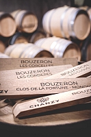 Photo Domaines-Viticoles Domaine Chanzy