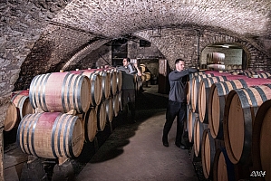 Photo Domaines-Viticoles Domaine Chanzy